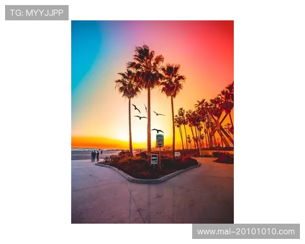 尊龙时凯人生就是博官网登录：探索成功背后的秘密与人生哲学