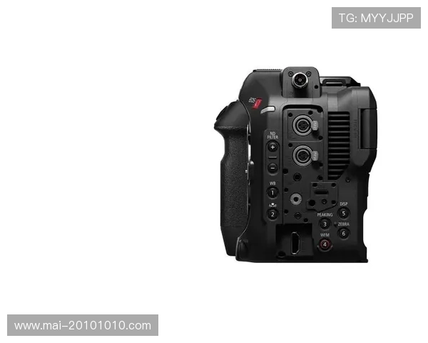 z6尊龙官方网站官网入口官方入口安全验证流程及常见问题解决方案