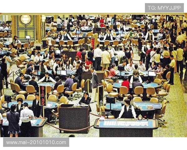 尊龙国际娱乐:打造安全可靠的在线博彩平台体验