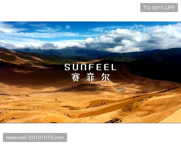 尊龙凯时平台简介：详细介绍平台的核心优势、特色服务以及用户体验提升方案