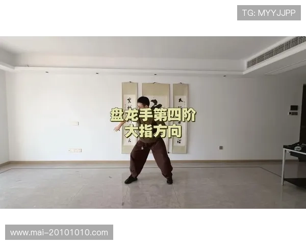 深入解析尊龙玩法的技巧与策略，让你轻松上手